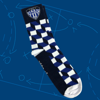 TBV-Socken blau/weiss kariert