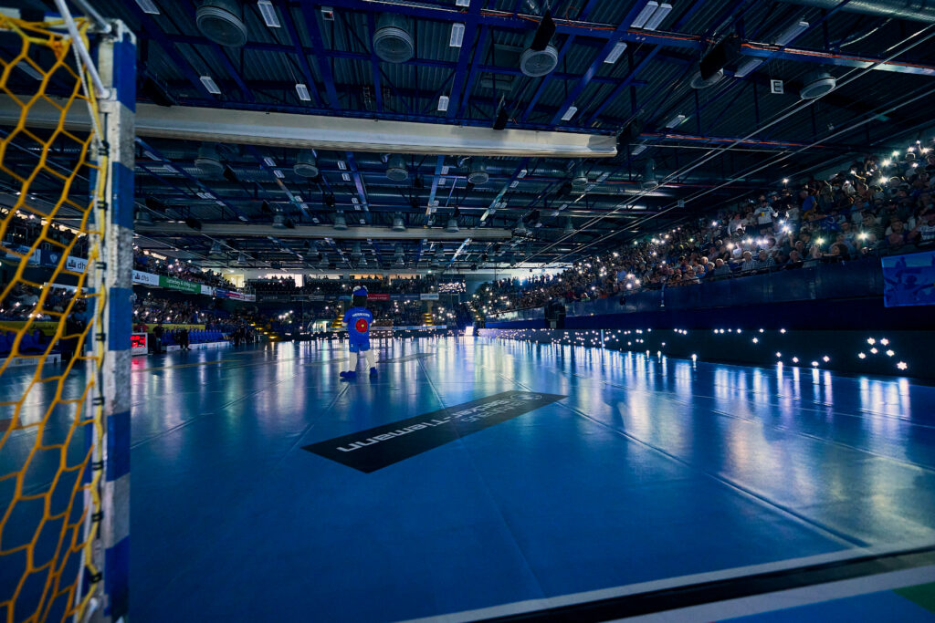 Liqui Moly Handballbundesliga Herren