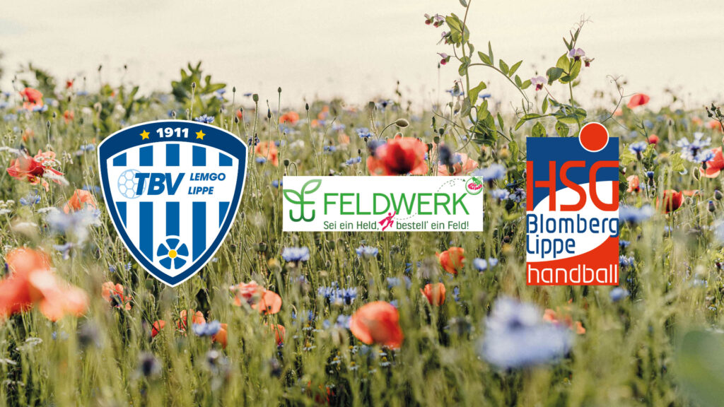 1920 x 1080_Feldwerk